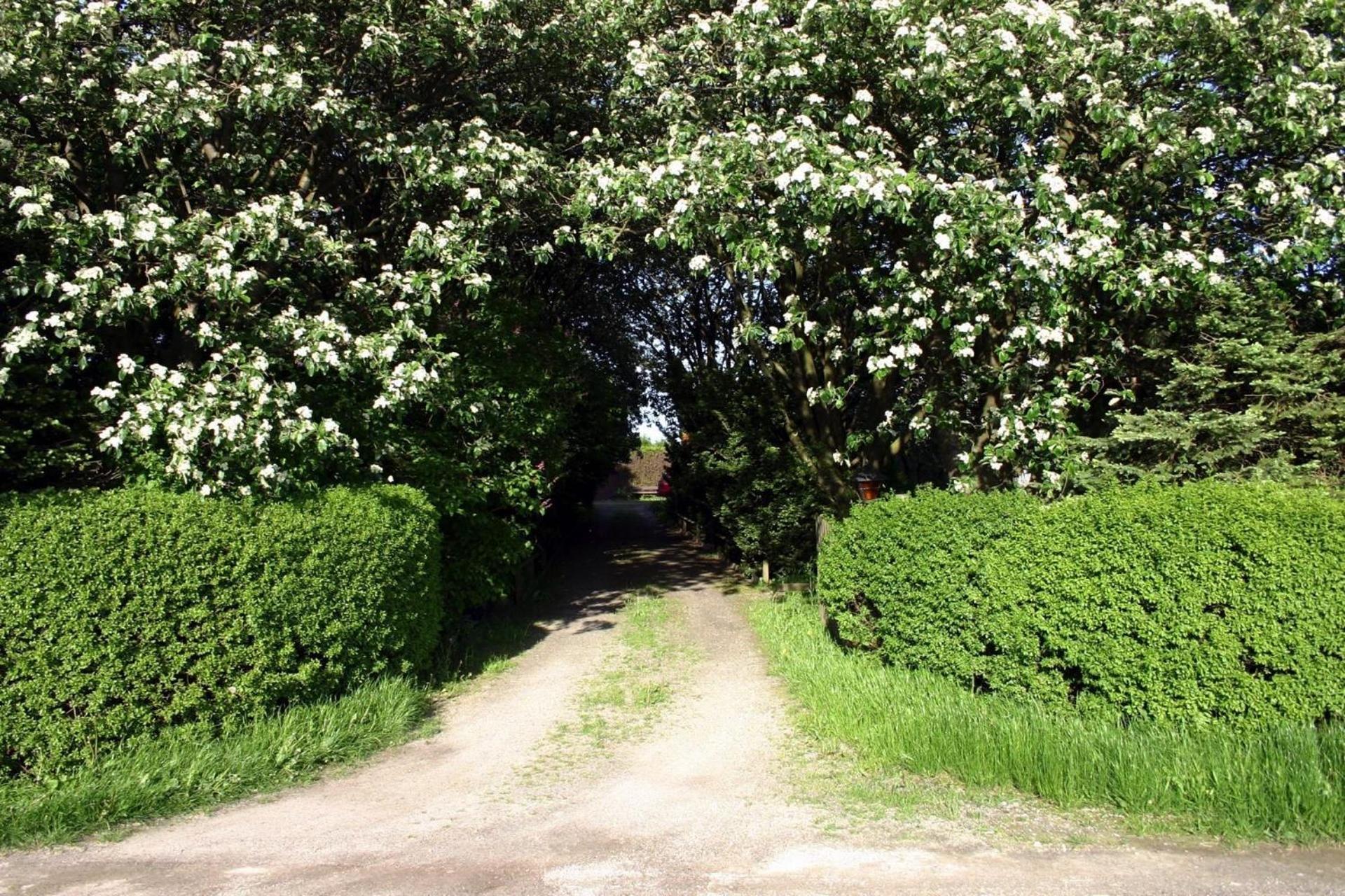 Lilla Huset på Slätten B&B Lund Exteriör bild