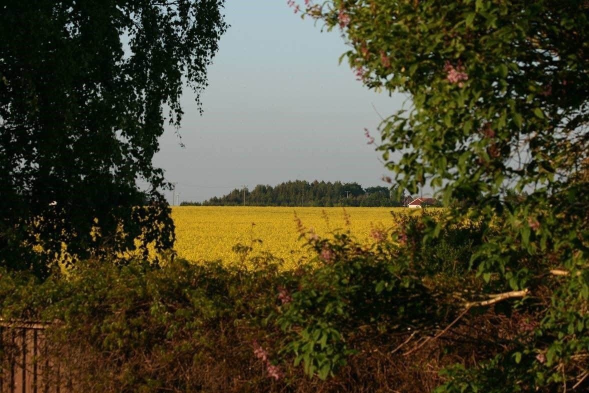 Lilla Huset på Slätten B&B Lund Exteriör bild